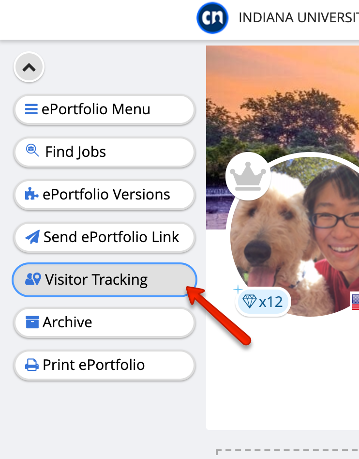 visitor_tracking_data.png